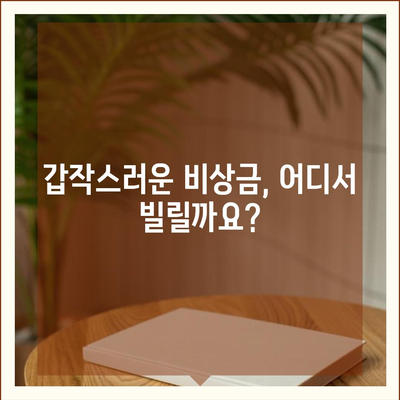 비상금 대출, 급할 때 어디서 받을 수 있을까요? | 비상금 대출, 소액 대출, 긴급 자금, 대출 정보, 추천