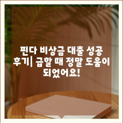 타 곳에서 거절당했지만 핀다 비상금 대출은 됐어요! | 핀다 비상금 대출 후기, 대출 성공 사례, 핀다 비상금 대출 후기