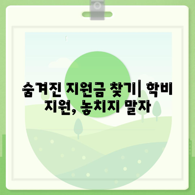 대학 학비 마련, 숨겨진 방법 대공개! | 장학금, 부분 학자금 대출, 아르바이트, 기타 지원