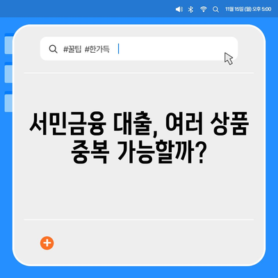 서민금융 대출, 중복 사용 가능할까요? 재신청은? | 서민금융, 대출, 중복, 재신청, 가능성, 가이드