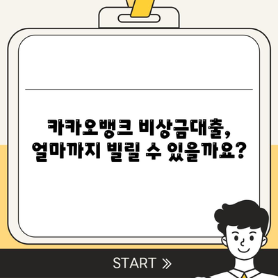 카카오뱅크 비상금대출, 신용점수별 한도와 금리 알아보기 | 비상금, 대출, 신용등급