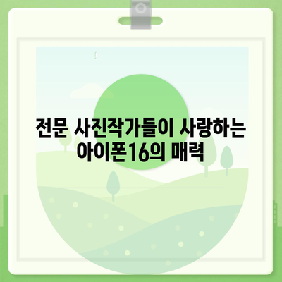 아이폰16 카메라 | 사진과 비디오의 세계를 새롭게 정의하다