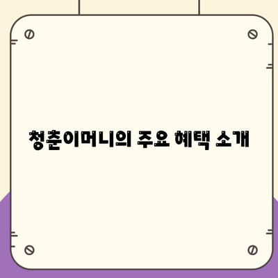 자동차담보대출 청춘이머니 소개 및 이용 방법 가이드 | 대출, 청년 금융, 자산 관리"