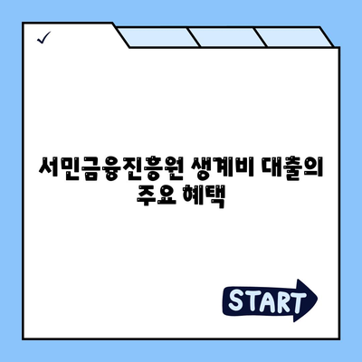 서민금융진흥원 소액 생계비 대출 신청 방법 안내 | 금리, 조건, 서류 준비 팁