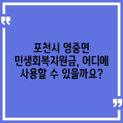 경기도 포천시 영중면 민생회복지원금 | 신청 | 신청방법 | 대상 | 지급일 | 사용처 | 전국민 | 이재명 | 2024