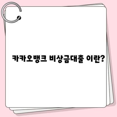 카카오뱅크 비상금대출