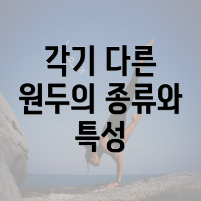 각기 다른 원두의 종류와 특성