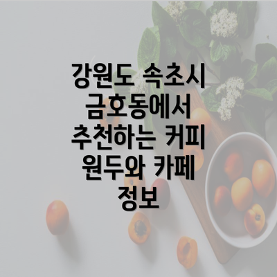 강원도 속초시 금호동에서 추천하는 커피 원두와 카페 정보