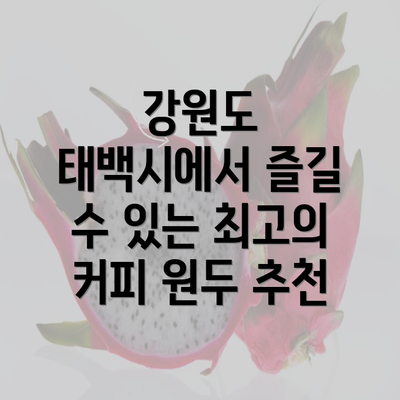 강원도 태백시에서 즐길 수 있는 최고의 커피 원두 추천