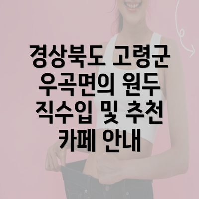 경상북도 고령군 우곡면의 원두 직수입 및 추천 카페 안내