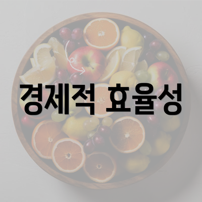 경제적 효율성