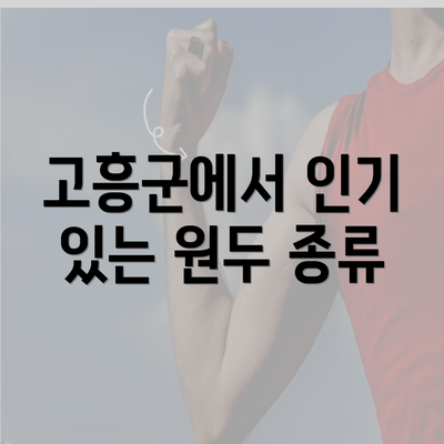 고흥군에서 인기 있는 원두 종류