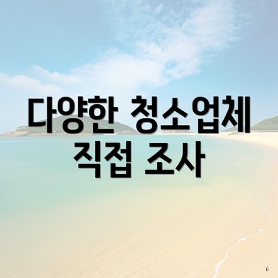 다양한 청소업체 직접 조사