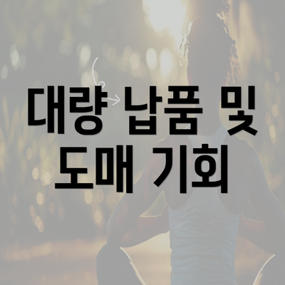 대량 납품 및 도매 기회