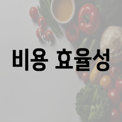 비용 효율성