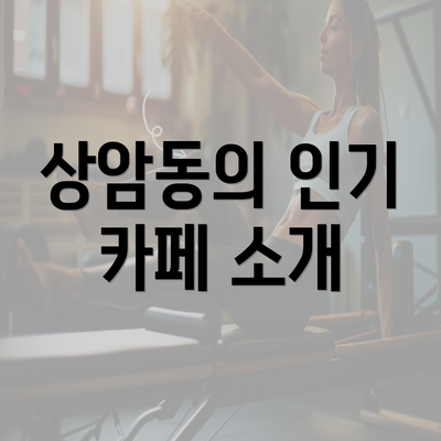 상암동의 인기 카페 소개