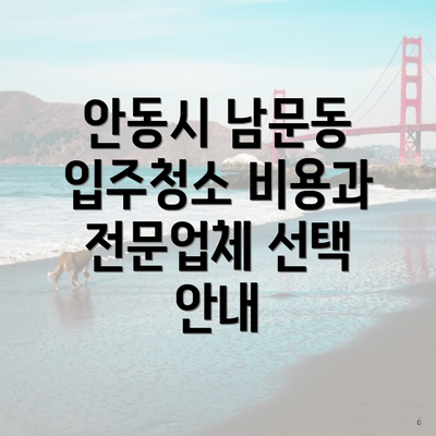 안동시 남문동 입주청소 비용과 전문업체 선택 안내