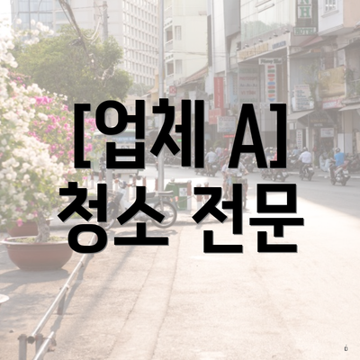 [업체 A] 청소 전문