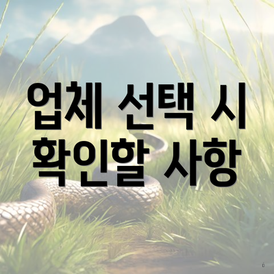 업체 선택 시 확인할 사항