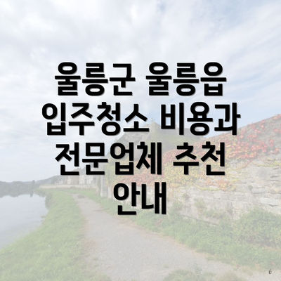 울릉군 울릉읍 입주청소 비용과 전문업체 추천 안내