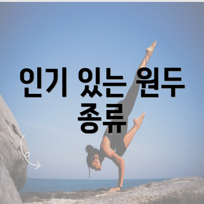 인기 있는 원두 종류