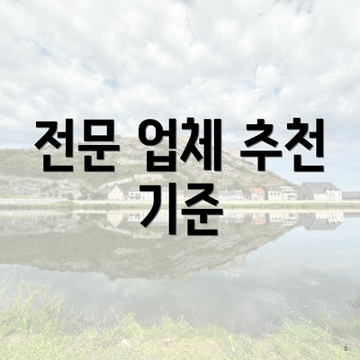 전문 업체 추천 기준