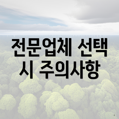 전문업체 선택 시 주의사항