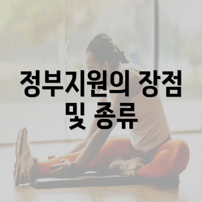 정부지원의 장점 및 종류