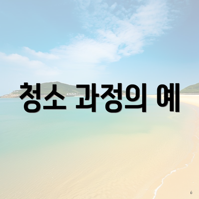 청소 과정의 예