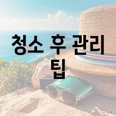 청소 후 관리 팁