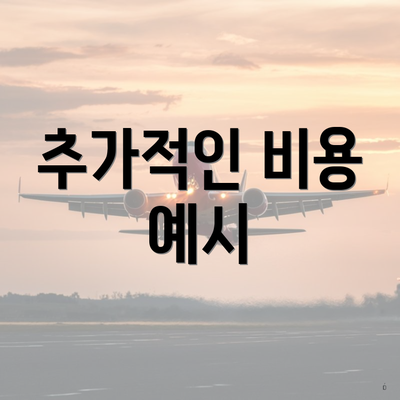 추가적인 비용 예시