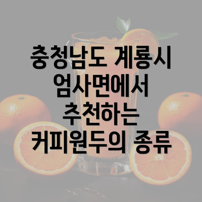 충청남도 계룡시 엄사면에서 추천하는 커피원두의 종류