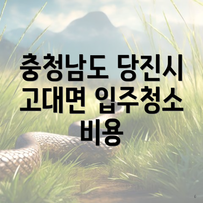 충청남도 당진시 고대면 입주청소 비용