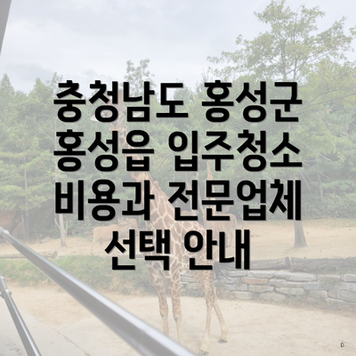 충청남도 홍성군 홍성읍 입주청소 비용과 전문업체 선택 안내