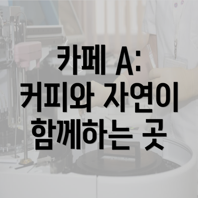 카페 A: 커피와 자연이 함께하는 곳