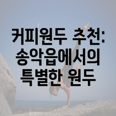 커피원두 추천: 송악읍에서의 특별한 원두