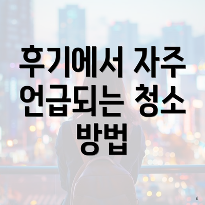 후기에서 자주 언급되는 청소 방법