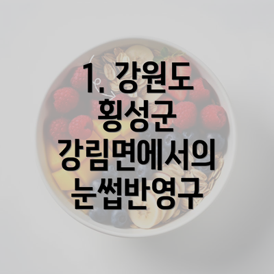 1. 강원도 횡성군 강림면에서의 눈썹반영구