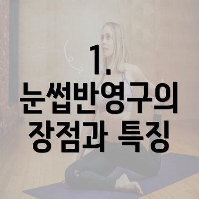 1. 눈썹반영구의 장점과 특징