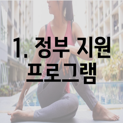 1. 정부 지원 프로그램