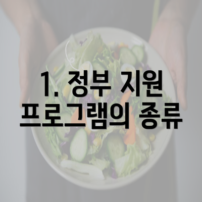 1. 정부 지원 프로그램의 종류