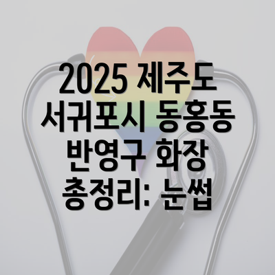 2025 제주도 서귀포시 동홍동 반영구 화장 총정리: 눈썹