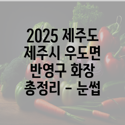 2025 제주도 제주시 우도면 반영구 화장 총정리 - 눈썹