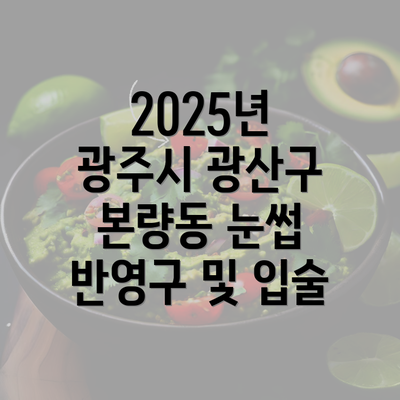 2025년 광주시 광산구 본량동 눈썹 반영구 및 입술