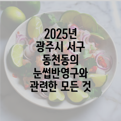 2025년 광주시 서구 동천동의 눈썹반영구와 관련한 모든 것