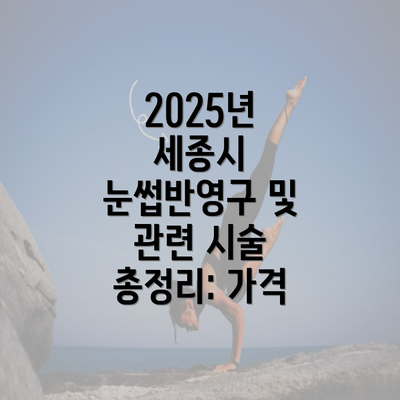 2025년 세종시 눈썹반영구 및 관련 시술 총정리: 가격