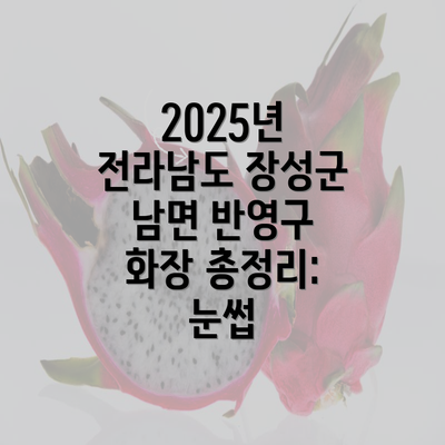 2025년 전라남도 장성군 남면 반영구 화장 총정리: 눈썹