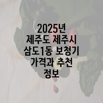 2025년 제주도 제주시 삼도1동 보청기 가격과 추천 정보