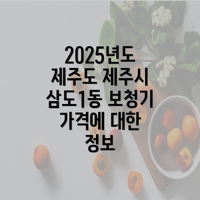 2025년도 제주도 제주시 삼도1동 보청기 가격에 대한 정보