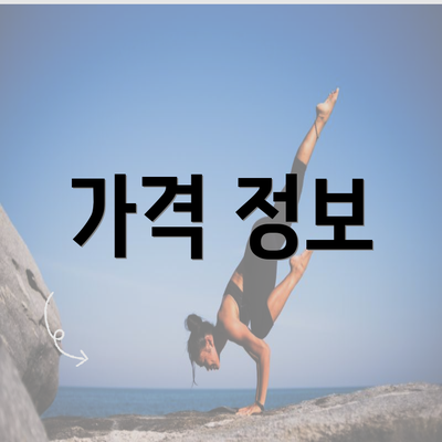 가격 정보